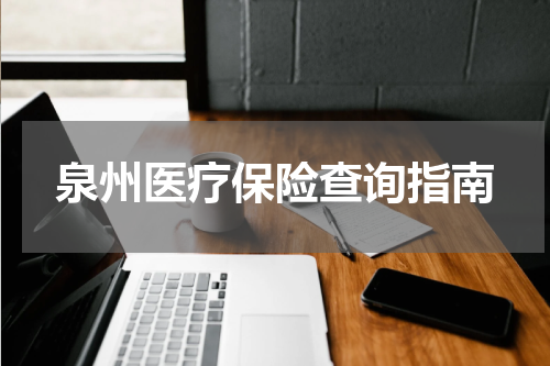 泉州医疗保险查询指南