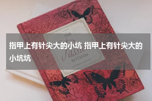 指甲上有针尖大的小坑 指甲上有针尖大的小坑坑