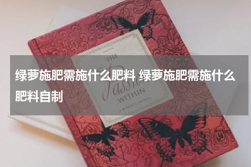 绿萝施肥需施什么肥料 绿萝施肥需施什么肥料自制