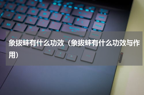 象拔蚌有什么功效（象拔蚌有什么功效与作用）