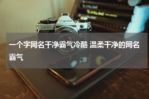 一个字网名干净霸气冷酷 温柔干净的网名霸气