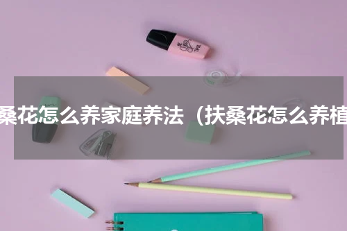 扶桑花怎么养家庭养法（扶桑花怎么养植）