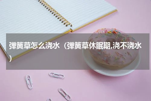 弹簧草怎么浇水（弹簧草休眠期,浇不浇水）