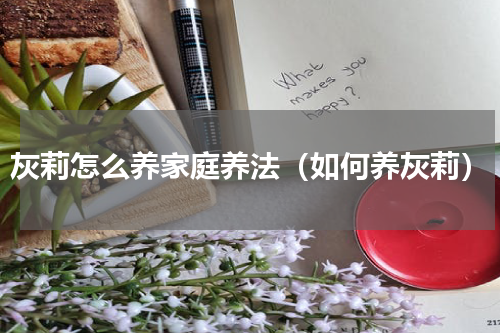 灰莉怎么养家庭养法（如何养灰莉）