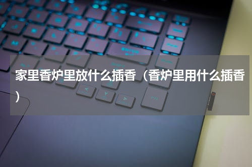 家里香炉里放什么插香（香炉里用什么插香）