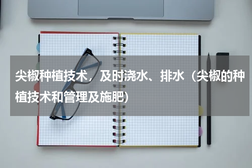 尖椒种植技术，及时浇水、排水（尖椒的种植技术和管理及施肥）