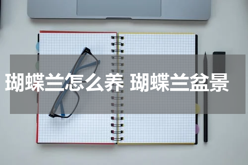 瑚蝶兰怎么养 瑚蝶兰盆景