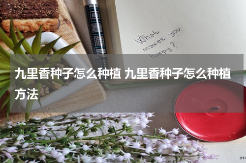 九里香种子怎么种植 九里香种子怎么种植方法