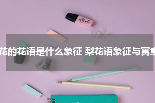 梨花的花语是什么象征 梨花语象征与寓意