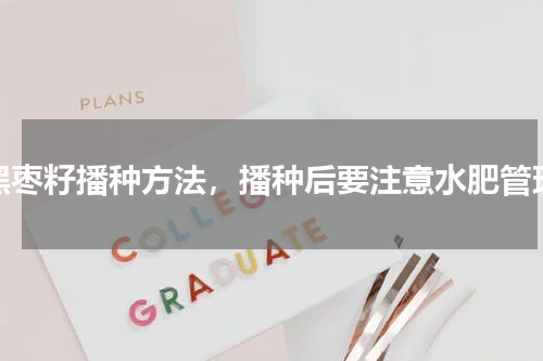 黑枣籽播种方法，播种后要注意水肥管理