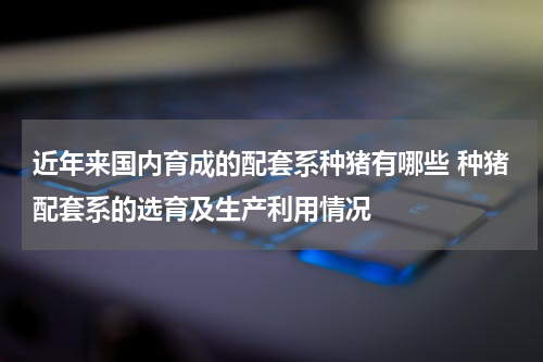 近年来国内育成的配套系种猪有哪些 种猪配套系的选育及生产利用情况