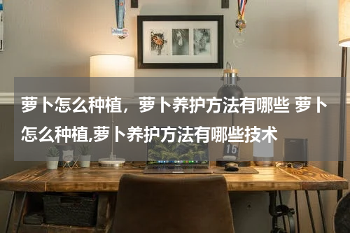 萝卜怎么种植，萝卜养护方法有哪些 萝卜怎么种植,萝卜养护方法有哪些技术