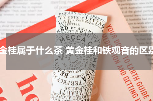 黄金桂属于什么茶 黄金桂和铁观音的区别