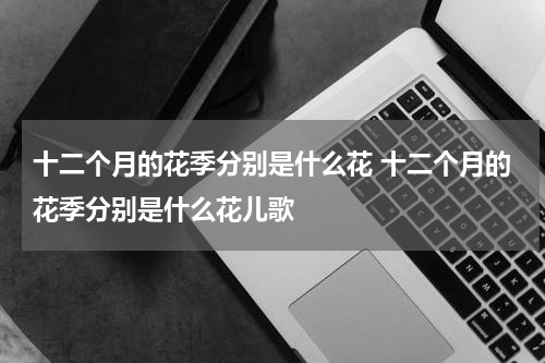 十二个月的花季分别是什么花 十二个月的花季分别是什么花儿歌