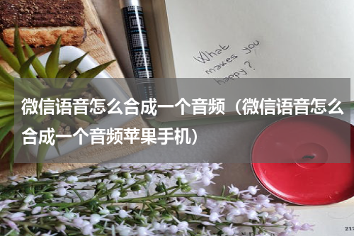 微信语音怎么合成一个音频（微信语音怎么合成一个音频苹果手机）