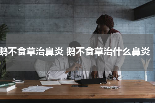 鹅不食草治鼻炎 鹅不食草治什么鼻炎
