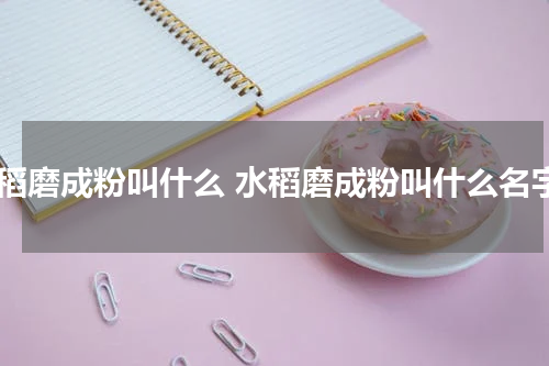 水稻磨成粉叫什么 水稻磨成粉叫什么名字
