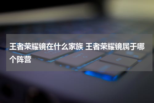 王者荣耀镜在什么家族 王者荣耀镜属于哪个阵营