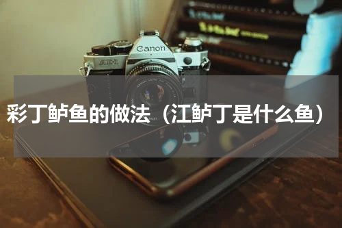 彩丁鲈鱼的做法（江鲈丁是什么鱼）