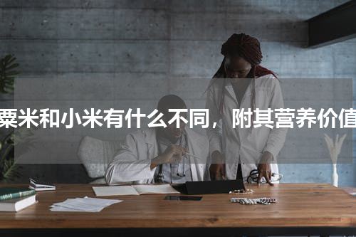 粟米和小米有什么不同，附其营养价值