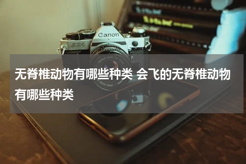 无脊椎动物有哪些种类 会飞的无脊椎动物有哪些种类