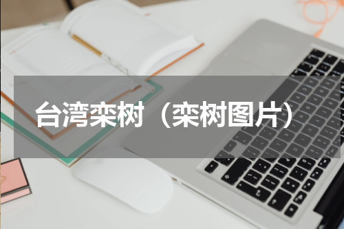 台湾栾树（栾树图片）