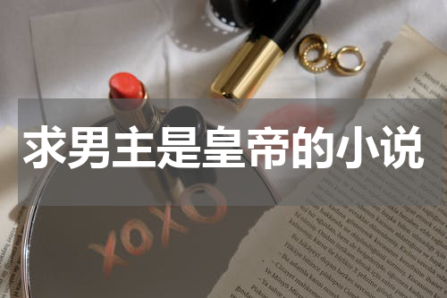 求男主是皇帝的小说
