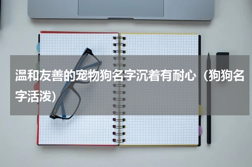 温和友善的宠物狗名字沉着有耐心（狗狗名字活泼）