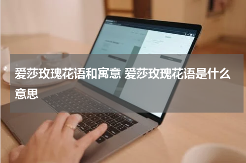 爱莎玫瑰花语和寓意 爱莎玫瑰花语是什么意思