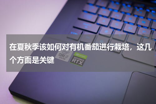 在夏秋季该如何对有机番茄进行栽培，这几个方面是关键