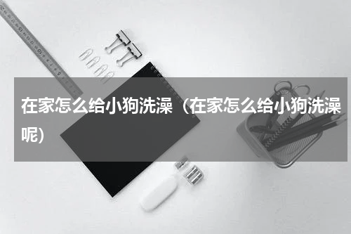 在家怎么给小狗洗澡（在家怎么给小狗洗澡呢）