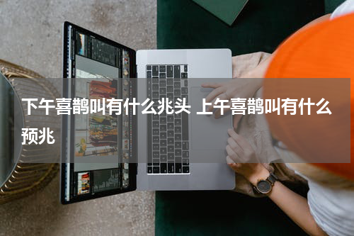下午喜鹊叫有什么兆头 上午喜鹊叫有什么预兆