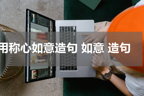 用称心如意造句 如意 造句