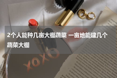 2个人能种几亩大棚蔬菜 一亩地能建几个蔬菜大棚