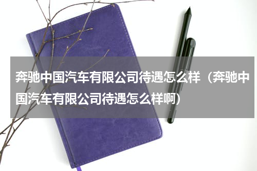 奔驰中国汽车有限公司待遇怎么样（奔驰中国汽车有限公司待遇怎么样啊）