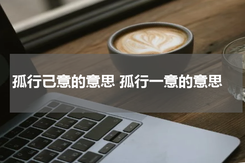 孤行己意的意思 孤行一意的意思
