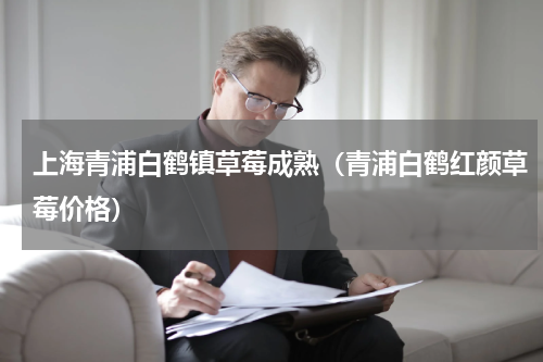 上海青浦白鹤镇草莓成熟（青浦白鹤红颜草莓价格）