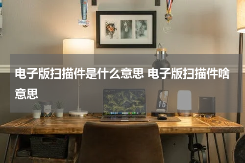 电子版扫描件是什么意思 电子版扫描件啥意思