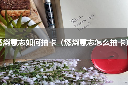 燃烧意志如何抽卡（燃烧意志怎么抽卡）