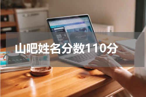 山吧姓名分数110分