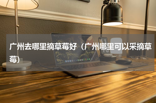 广州去哪里摘草莓好（广州哪里可以采摘草莓）