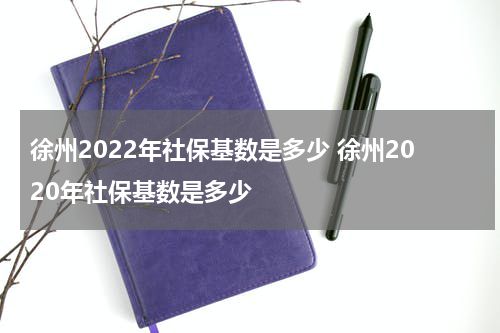 徐州2022年社保基数是多少 徐州2020年社保基数是多少