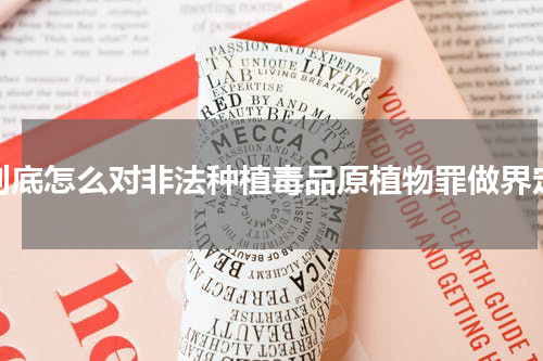 到底怎么对非法种植毒品原植物罪做界定
