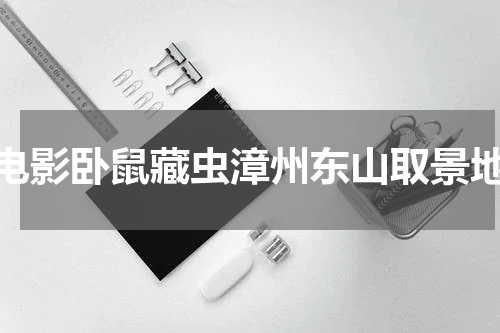 电影卧鼠藏虫漳州东山取景地