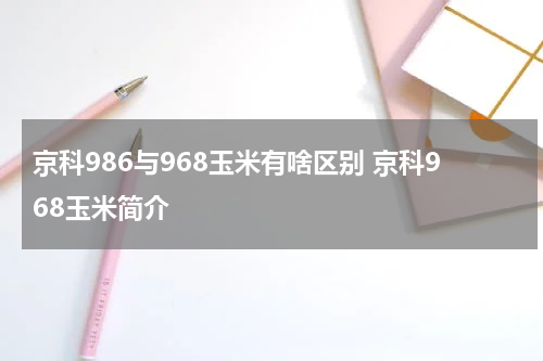 京科986与968玉米有啥区别 京科968玉米简介