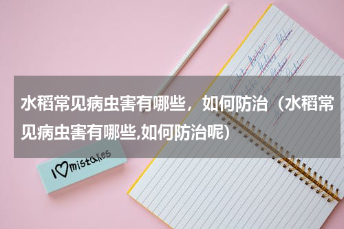 水稻常见病虫害有哪些，如何防治（水稻常见病虫害有哪些,如何防治呢）