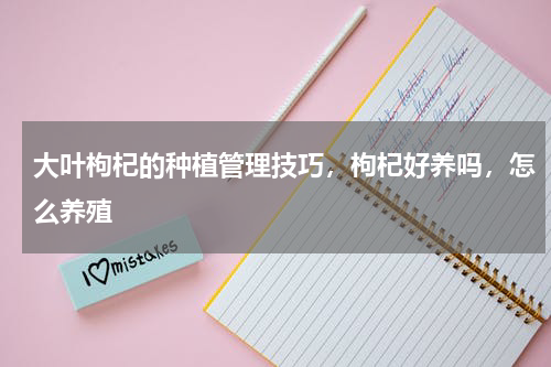 大叶枸杞的种植管理技巧，枸杞好养吗，怎么养殖