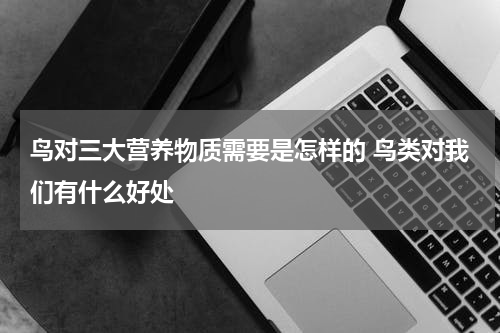 鸟对三大营养物质需要是怎样的 鸟类对我们有什么好处