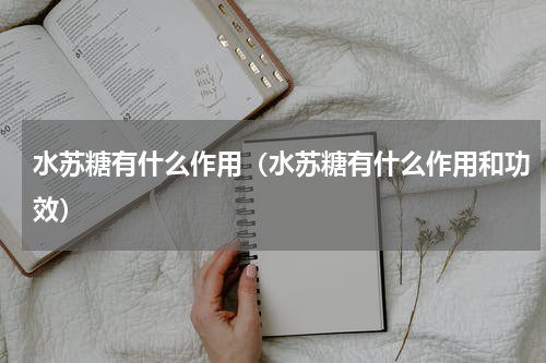 水苏糖有什么作用（水苏糖有什么作用和功效）