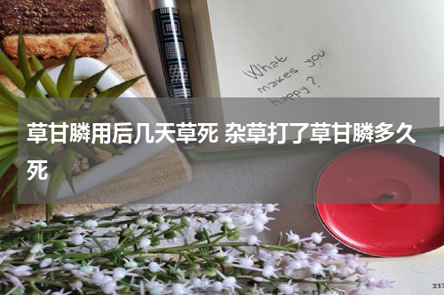 草甘膦用后几天草死 杂草打了草甘膦多久死